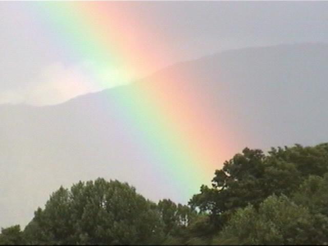 {Rainbow closeup}